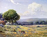 California Canvas Paintings - Angel Espoy California Wildflowers